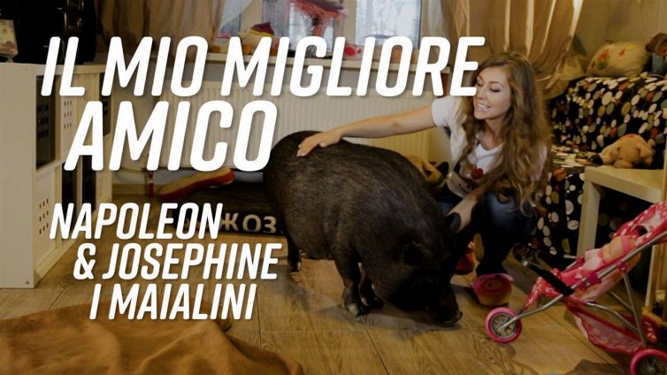 Maialini in casa: un'esperienza inaspettata