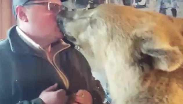 Quello che fa quest'orso è incredibile