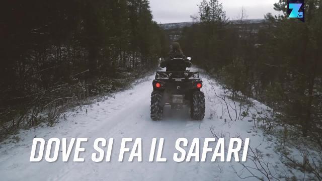 Vuoi fuggire dal frastuono? Vai a nord (molto a nord)