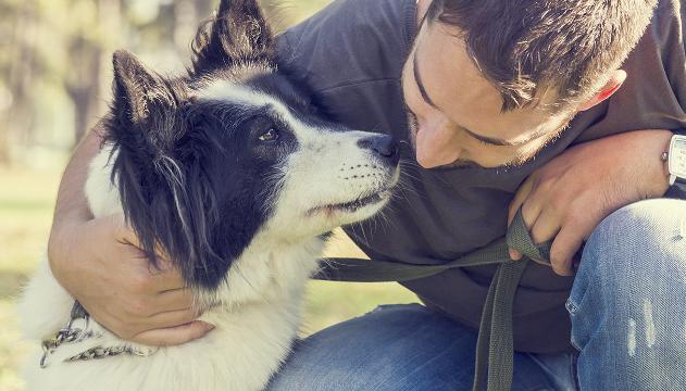 I cani possono salvare chi ha il diabete (e non solo)