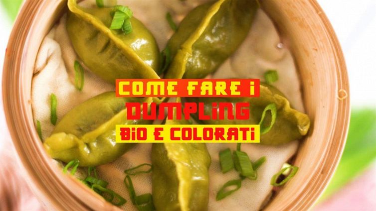 Buon anno del maiale con... i dumpling vegetariani!
