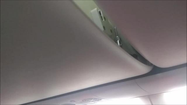 Brivido in aereo: nella cappelliera spunta lo scorpione