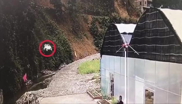 Il furgone vola per 30 metri giù da una scarpata