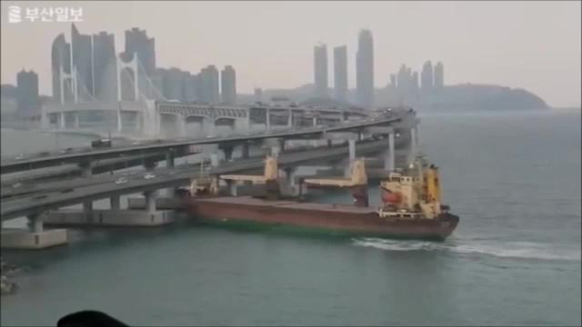 Capitano ubriaco, la nave cargo si schianta sul ponte