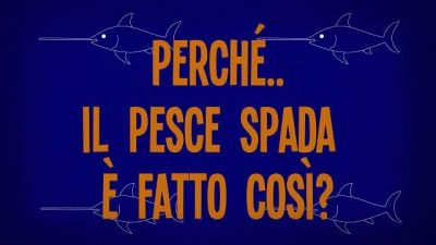 Perché il pesce spada è fatto così?