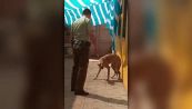 Il poliziotto libera il cane, la reazione è commovente