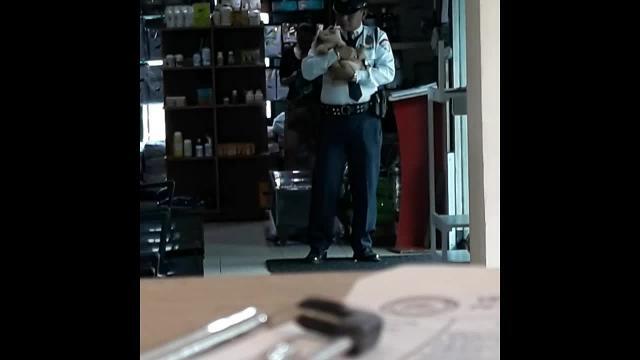 Il cagnolino non si calma, la guardia lo prende in braccio e lo culla
