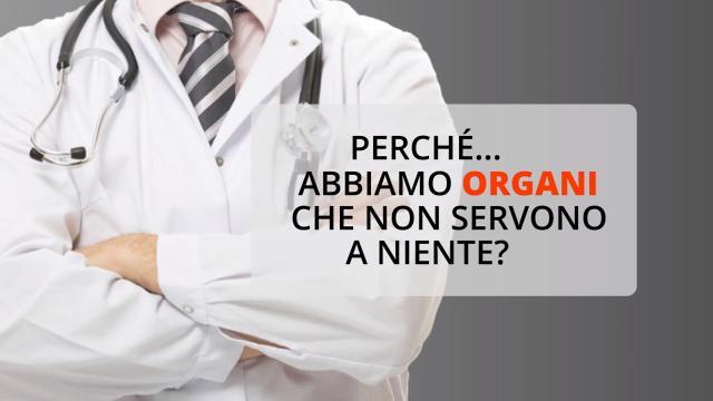 Perché abbiamo organi che non servono a niente?