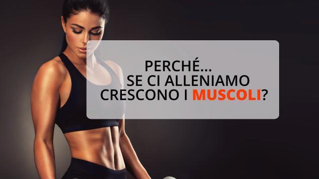 Perché se ci alleniamo ci crescono i muscoli?