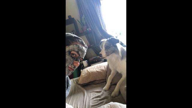 La maschera di bellezza manda in ansia il tenero cucciolotto