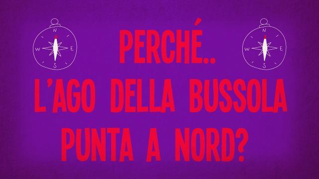 Perché l'ago della bussola punta a Nord?