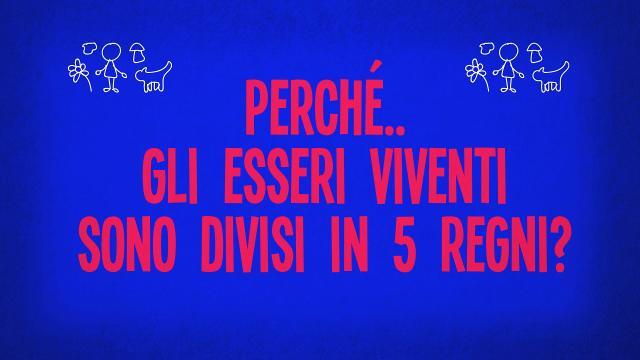 Perché gli esseri viventi sono divisi in 5 regni?