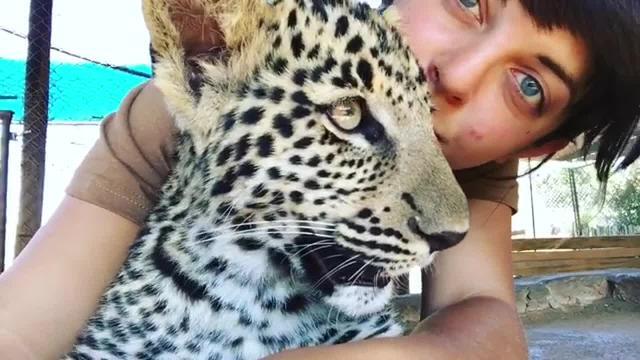 Cosa succede se baci un leopardo