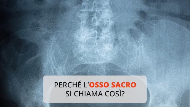 Perché l’osso sacro si chiama così?