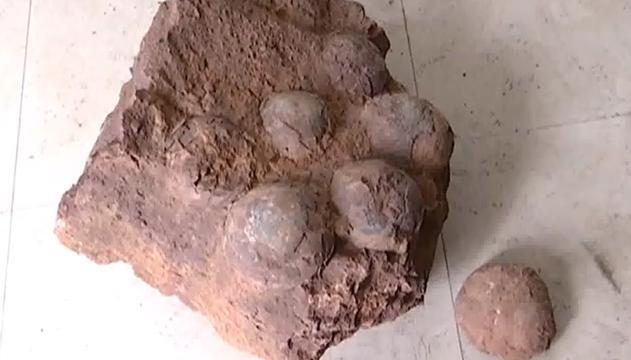 Passeggiano tra le campagne, trovano 6 uova di dinosauro