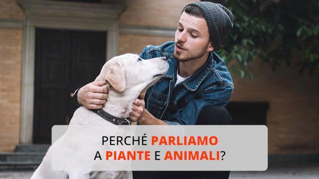 Perché parliamo a piante e animali?