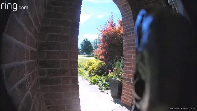 Aiuto! Al campanello della porta c'è un serpente
