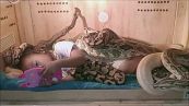 La bambina che dorme coi serpenti