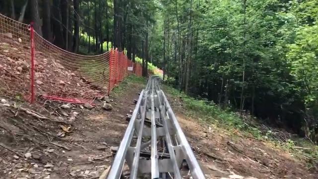 A Bardonecchia, in Val di Susa, si va in slitta anche d'estate