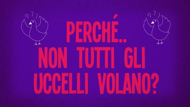 Perché non tutti gli uccelli volano?