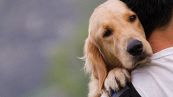 Salute dei cani: i segnali da non sottovalutare