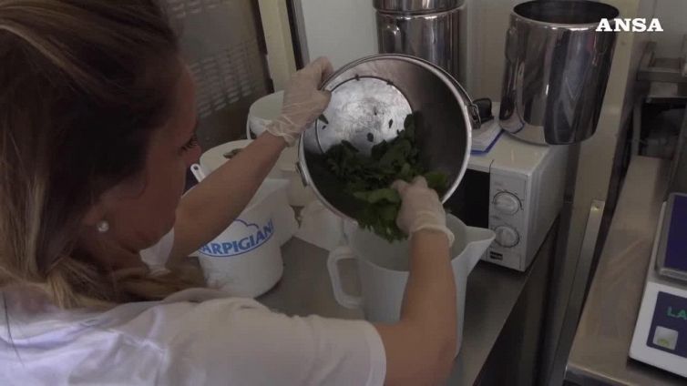 Gelato artigianale, 3mld business, piace ai fiori e salato