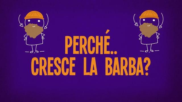 Perché cresce la barba?
