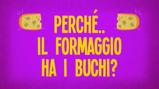 Perché il formaggio svizzero ha i buchi?