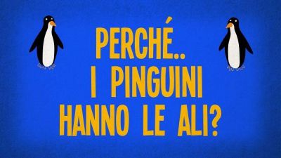 Perché i pinguini hanno le ali ma non volano?