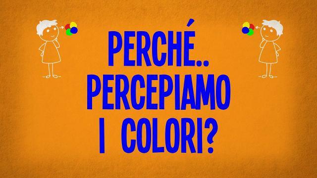Perché percepiamo i colori?