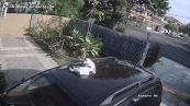 Partono e non si accorgono di avere il gatto sul tetto dell'auto