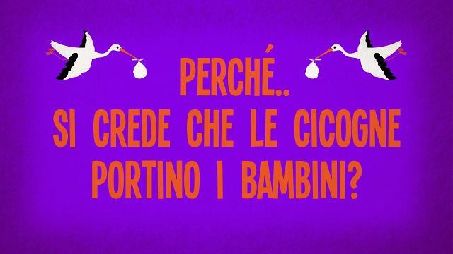 Perché si crede che le cicogne portino i bambini?