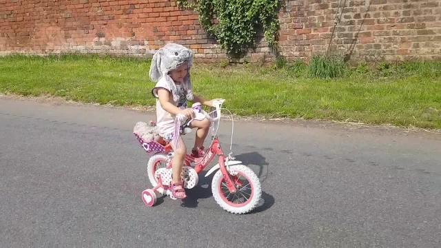 La bimba porta la gallina a spasso in bici