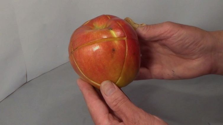Quest'uomo crea un cubo di Rubik con una mela