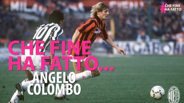 Che fine ha fatto Angelo Colombo