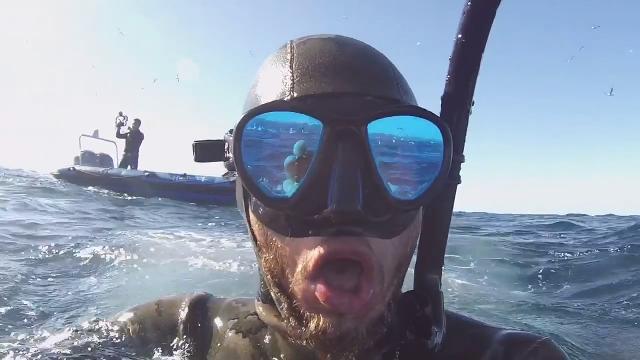 Sud Africa, il sub viene quasi inghiottito da una balena
