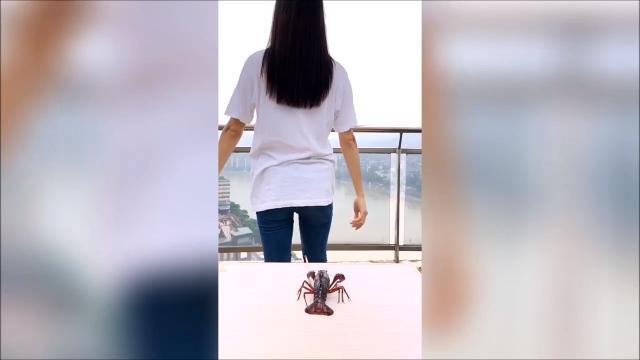 La ragazza e l'aragosta: la 'challenge' è da applausi