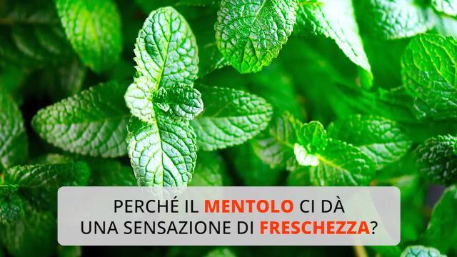 Perché il mentolo ci dà una sensazione di freschezza?