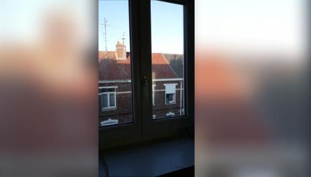 Aiuto! Una pantera sul balcone!