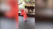 La bambina gioca con la tigre
