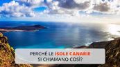 Perché le Isole Canarie si chiamano così?