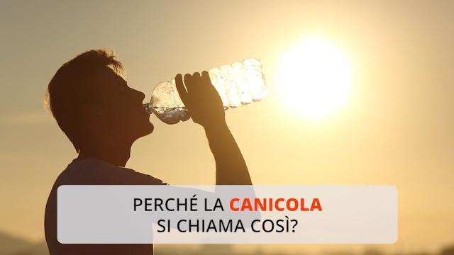 Perché la canicola si chiama così?