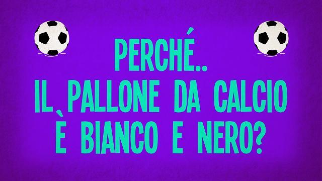 Perché il pallone da calcio è bianco e nero?