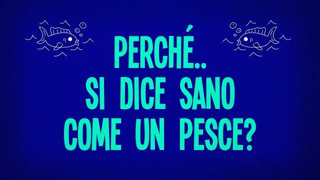 Perché si dice sano come un pesce?