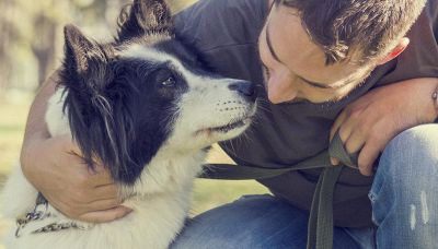Le domande da farsi prima di prendere un cane