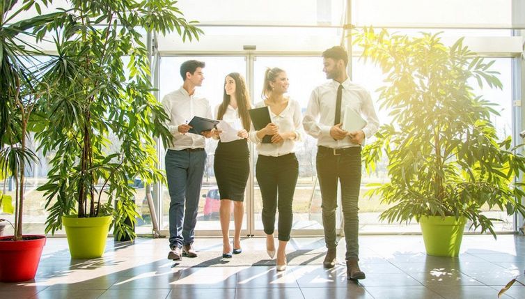 Come rendere il tuo ufficio più green
