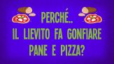 Perché il lievito fa gonfiare pane e pizza?