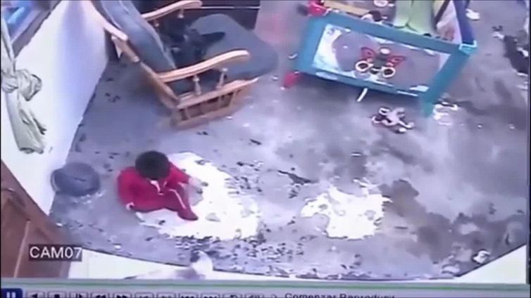 Bimbo in pericolo: il gattino baby-sitter è fenomenale