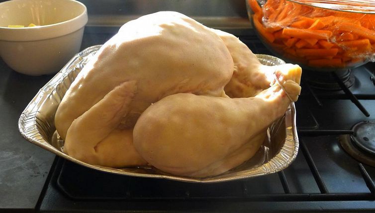 Questo tacchino inganna la tua vista: ecco cosa è davvero