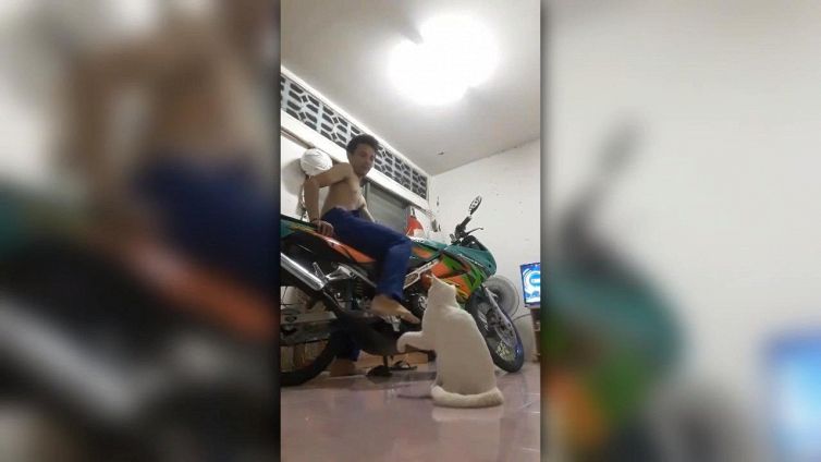 Il gattino non vuole che accenda la moto